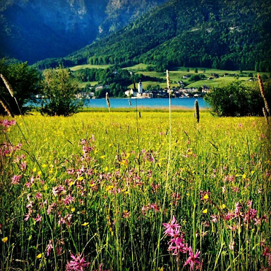 Fumerhof Strobl Eksteriør billede